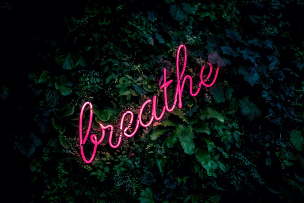 a pink neon sign set in a bed of lush green plants reminds us to breathe
